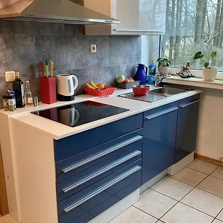 Apartman Am Pulvermaar Gillenfeld